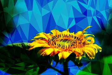 FX №200700 sunflower congratulations Polygon background with triangles