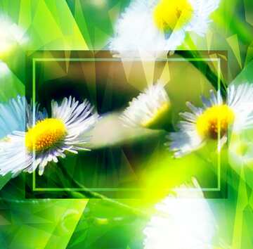 FX №200981 Daisies Polygon background with triangles