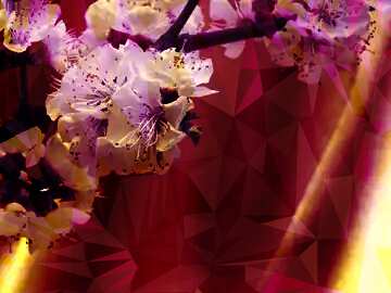 FX №200664 Spring flowering tree Polygon background with triangles