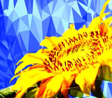 FX №200962 sunflower Polygon background with triangles