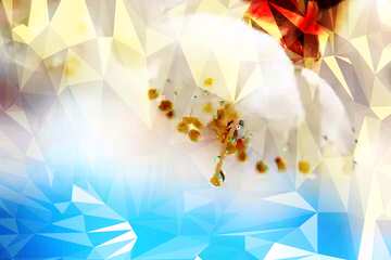 FX №200657 Spring wallpaper Polygon background with triangles