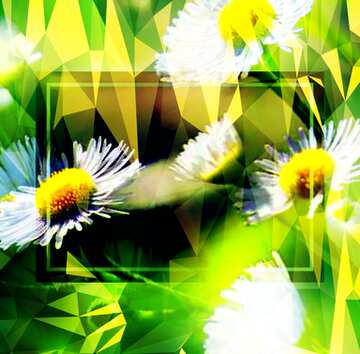 FX №200979 Daisies wallpaper on the desktop Polygon background with triangles frame template
