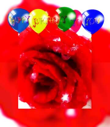 FX №200553 Winter Rose Flower Happy Birthday Card
