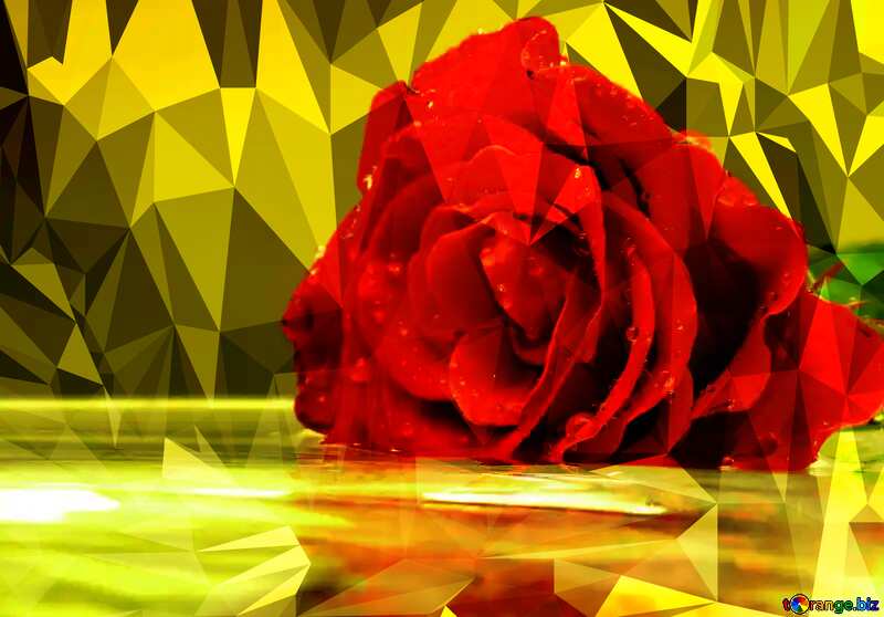 Color background with rose Polygon picture with triangles №16909