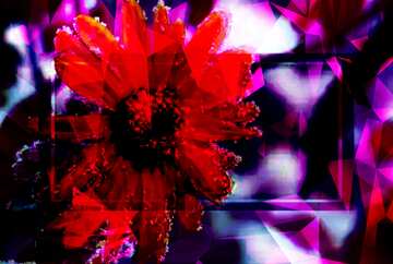 FX №201082 Last autumn flowers Polygon abstract geometrical background with triangles frame