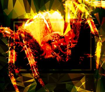 FX №201399 Spider frame template Polygon abstract geometrical background with triangles