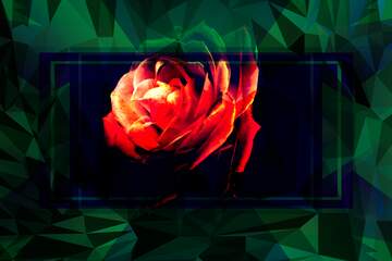 FX №201734 Fire Rose Template Polygon abstract geometrical background with triangles