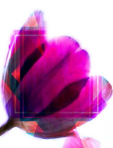 FX №201659 Tulips blue Frame Template Polygon abstract geometrical background with triangles