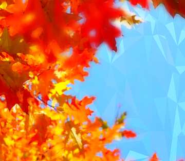 FX №201091 Autumn leaves blue sky Polygonal abstract geometrical background with triangles