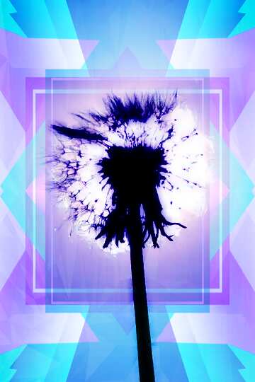 FX №201865 dandelion Polygon abstract geometrical background with triangles