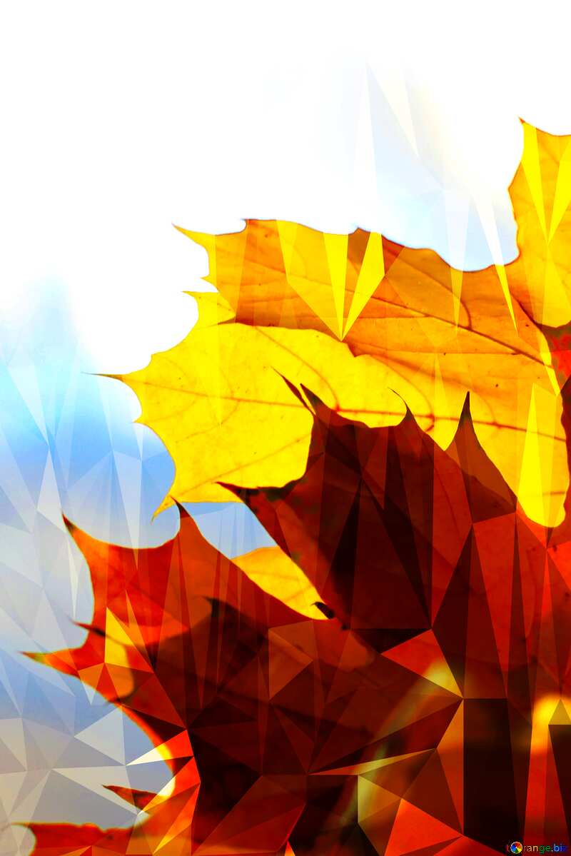 Autumn leaves Polygon abstract geometrical background with triangles №40877
