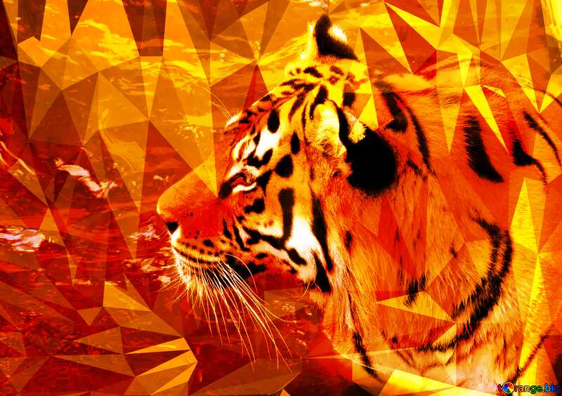 Beautiful tiger Polygon abstract geometrical background with triangles №45019