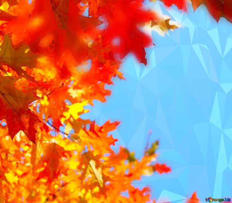 Autumn leaves blue sky Polygonal abstract geometrical background with triangles №38529