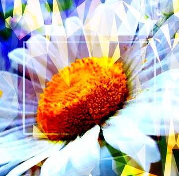 FX №202283 Daisies flower Template Polygonal abstract geometrical background with triangles