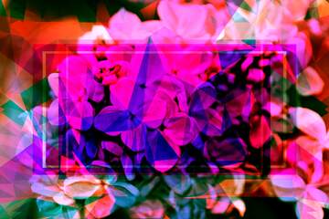 FX №202175 Flowers of lilac Polygon abstract geometrical background with triangles