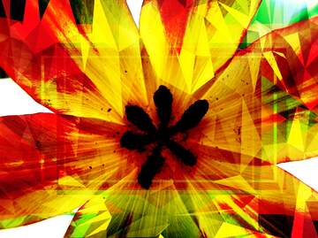 FX №202202 Texture.Flower tulip. Polygon abstract geometrical background with triangles