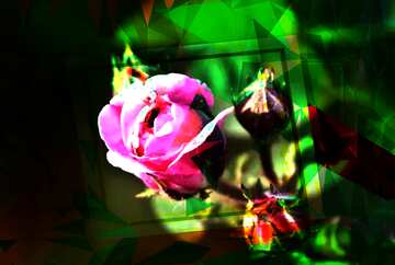 FX №202155 Tea Rose flower  Polygon triangles Green creative abstract geometrical background