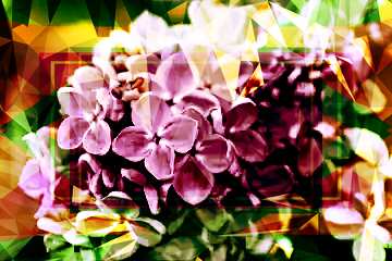 FX №202174 Flowers of violet lilac Polygon abstract geometrical background with triangles