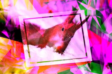 FX №202069 Squirrel Polygon abstract geometrical background with triangles