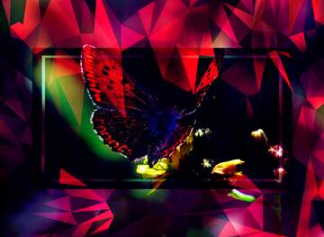 FX №202887 Flying butterfly Polygonal abstract geometrical background with triangles Template