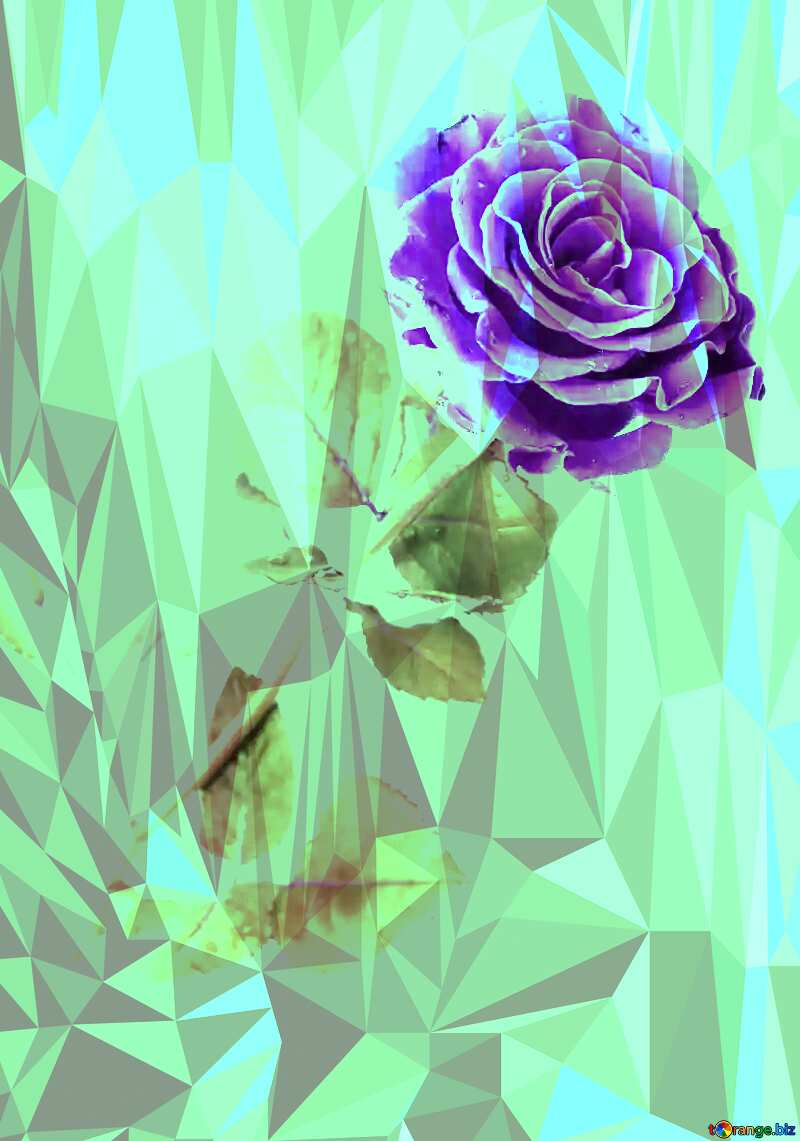 rose beautiful Polygonal abstract geometrical background with triangles №16891