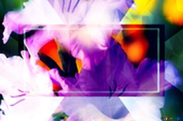 FX №203141 Beautiful flowers for congratulations Polygonal abstract geometrical background with triangles blue ...
