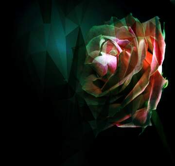 FX №203993 Rose flower Polygonal abstract geometrical background with triangles