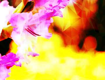FX №203149 Flower gladiolus Polygonal abstract geometrical background with triangles
