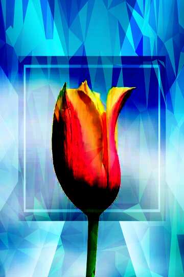 FX №203251 Flower of Tulip Polygonal abstract geometrical background with triangles Template