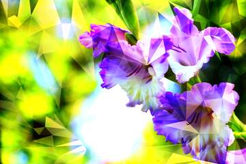 FX №203147 Images for cards the flower gladiolus Polygonal abstract geometrical background with triangles