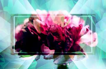 FX №203641 Sakura blossoms Template Frame Polygonal abstract geometrical background with triangles