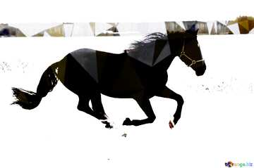 FX №203901 Horse run in the snow Polygonal abstract geometrical background with triangles