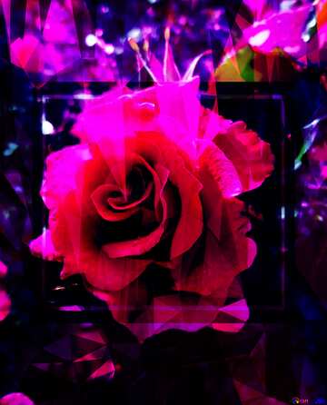 FX №203544 rose flower template