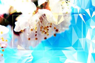 FX №203009 Spring Polygonal abstract geometrical background with triangles