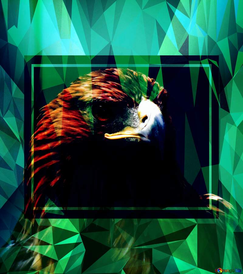 Golden eagle Template Polygonal abstract geometrical background with triangles №45229