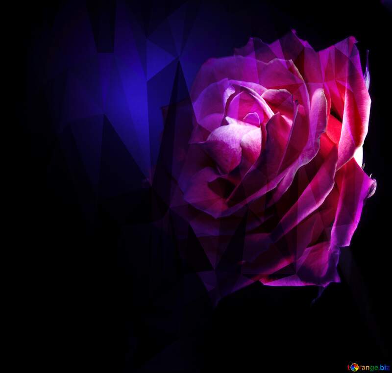 Rose flower Dark Polygonal abstract geometrical background with triangles №7630