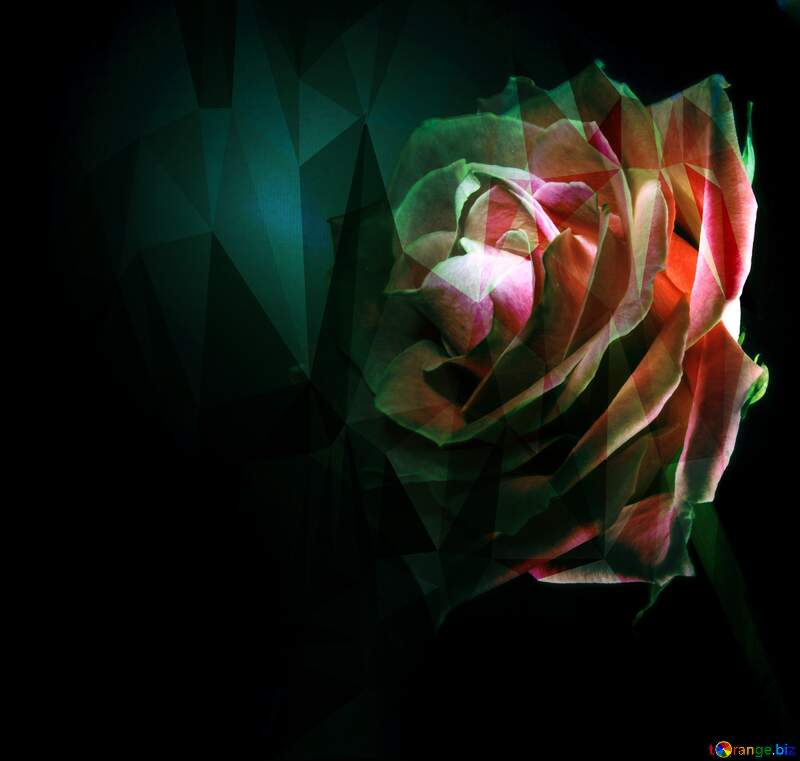 Rose flower Polygonal abstract geometrical background with triangles №7630