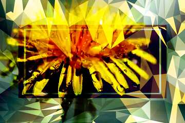 FX №204235 Yellow flower template Polygonal abstract geometrical background with triangles