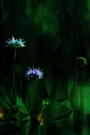 FX №204388 Forest flowers dark Polygonal abstract geometrical background with triangles