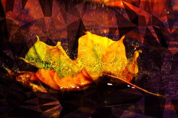 FX №204319 Autumn leaf rain Polygonal abstract geometrical background with triangles