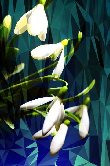 FX №204376 White spring flowers Polygonal abstract geometrical background with triangles