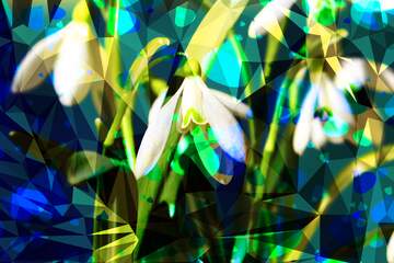 FX №204382 Flowers with drops Polygonal abstract geometrical background with triangles