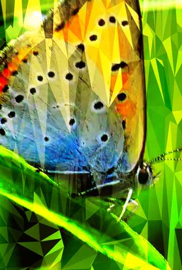 FX №204132 Butterfly on leaf. Background on the desktop. Polygonal abstract geometrical background with...