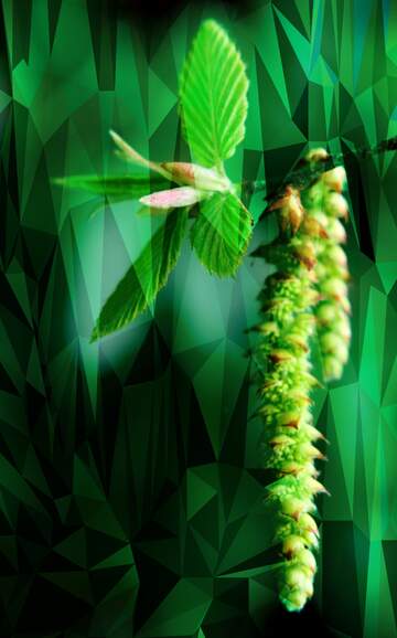 FX №204614 Spring birch catkin flower Polygonal abstract geometrical background with triangles
