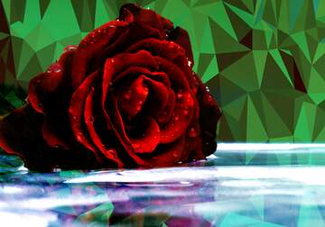 FX №204043 Rose flower on water Polygonal abstract geometrical background with triangles