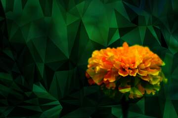 FX №204303 flower Polygonal abstract geometrical background with triangles