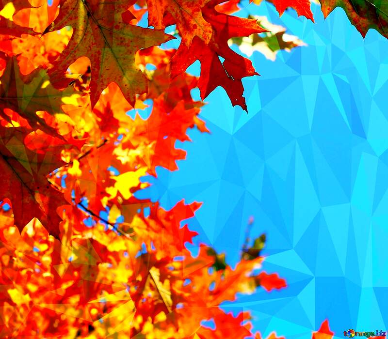 Autumn leaves Polygonal abstract geometrical background with triangles №38529