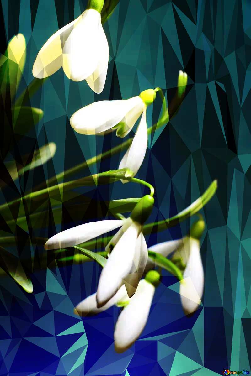 White spring flowers Polygonal abstract geometrical background with triangles №38238