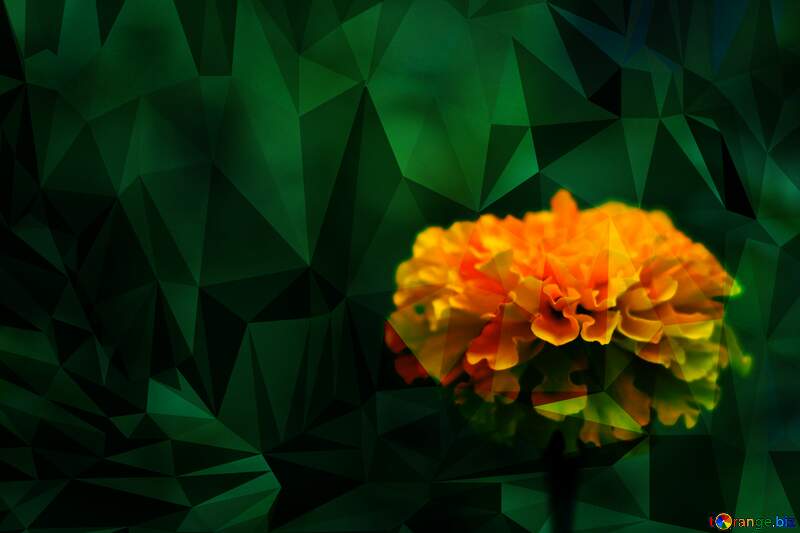 flower Polygonal abstract geometrical background with triangles №33459