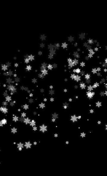 FX №205474 Background with snowflakes black  white